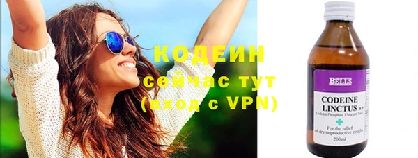 прущие грибы Белокуриха