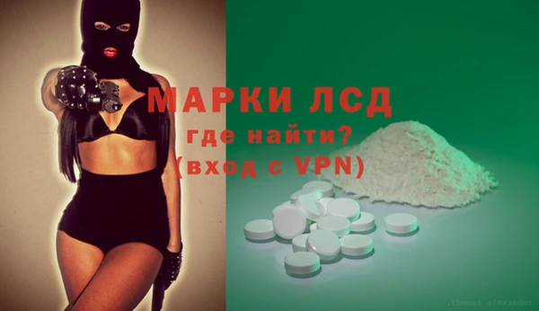 прущие грибы Белокуриха