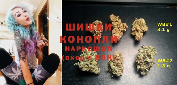 прущие грибы Белокуриха
