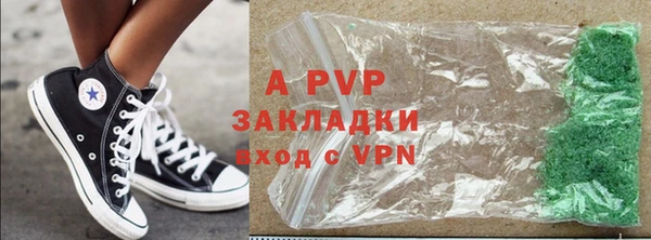 прущие грибы Белокуриха