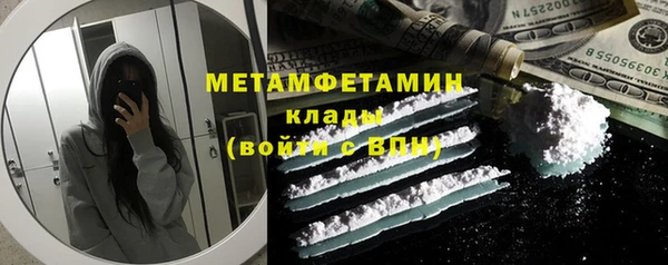 прущие грибы Белокуриха