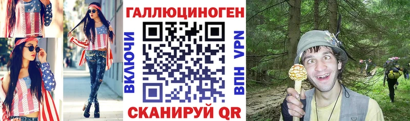 мега ТОР  Всеволожск  Псилоцибиновые грибы Cubensis  где продают  